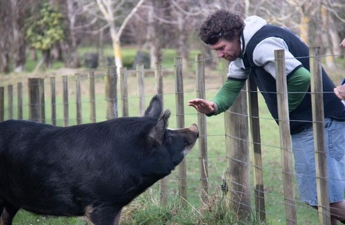 Kai Iwi Cottage | Nut Cottage