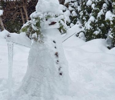 Metabief Apartment | O DOUBS SEJOURS