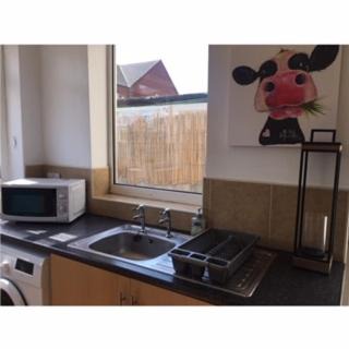 Goole House | O'Hara House