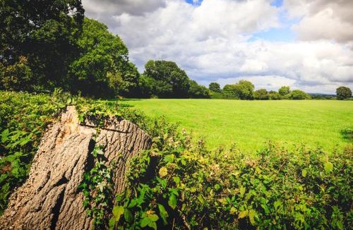 Cymau House | Oak Mead