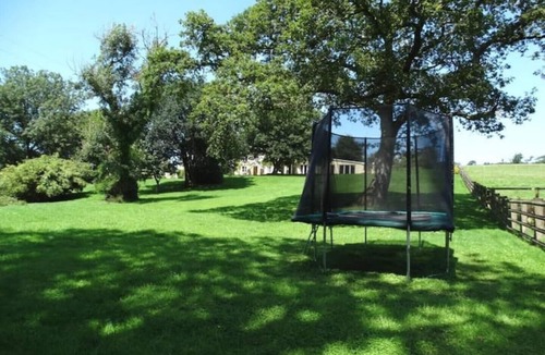 Broadwoodkelly Cottage | Oak Tree Cottage With Indoor Pool In Devon