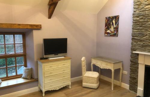 Newcastle Emlyn House | Oakley Bed & Breakfast - Vegetarian, Vegan