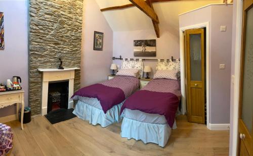Newcastle Emlyn House | Oakley Bed & Breakfast - Vegetarian, Vegan