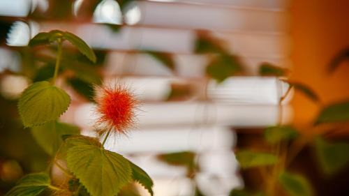 Oakridge Hotel | Oakridge Inn & Suites