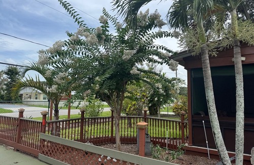 Fedhaven House | Oaks and Palm Resort Lake Wales, Fl. by Lake Kissimmeen3 Bedroom 5 beds 6 guest