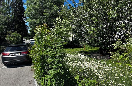 Zollikofen Apartment | Oase für Familien und Geschäftsreisende Top-attraktionen in der Nähe