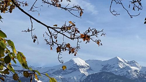 Spiez House | Oase zum SEIN