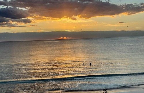 Glenelg North Apartment | oasis by the beach