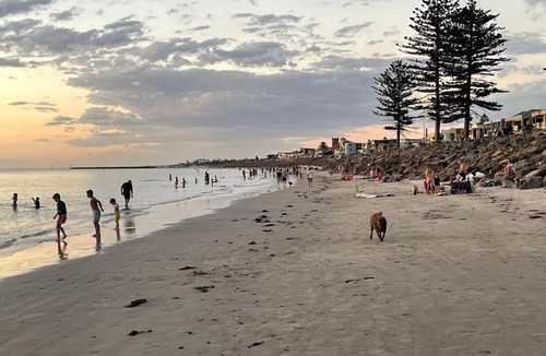 Glenelg North Apartment | oasis by the beach