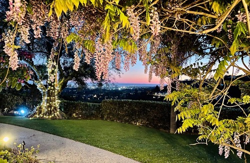 Beverly Hills Villa | Oasis in Beverly Hills