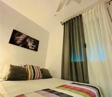 Navas House | Oasis Meridian