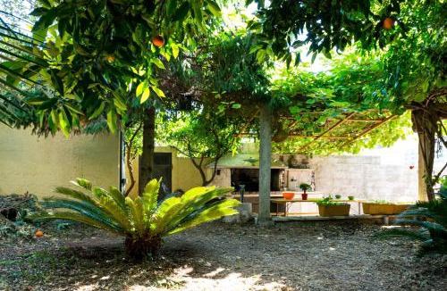 Pile Apartment | Oasis of peace
