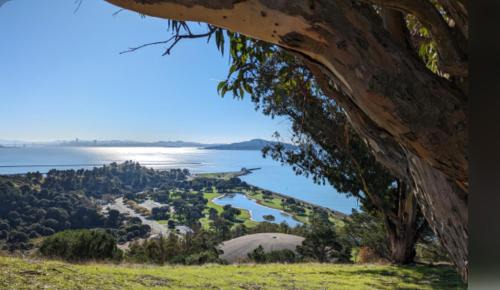 Point Richmond Apartment | Oasis Point