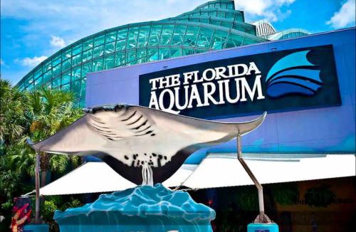 Pinecrest West Park Apartment | Oasis rodante