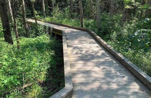 Innisfil Condo | Oasis Spa w/Private Sauna!