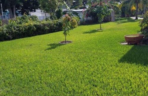 Plantation House | Oasis1080 Resort