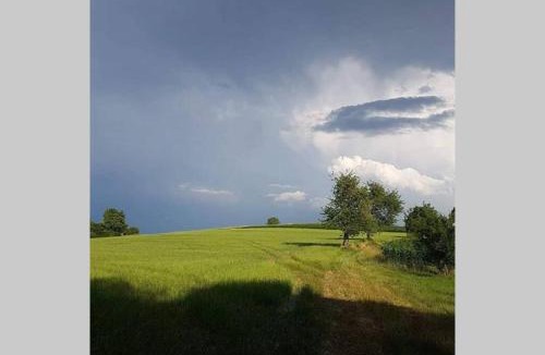 Cindre House | obouduchemin