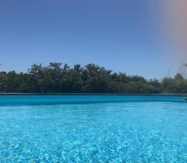 Saint-Julien-les-Rosiers Apartment | Occitemps