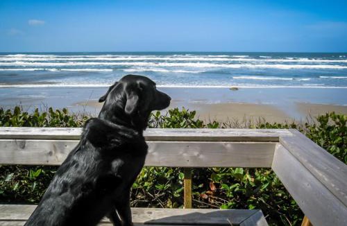 South Beach House | Ocean Escape