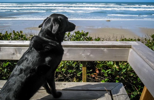 South Beach House | Ocean Escape