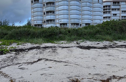 Stagetop Condo | Ocean Front Beauty!