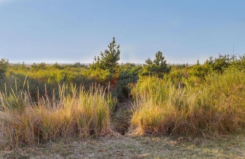 Ocean City House | Ocean Front. Clamming. Game Room. Large Deck.