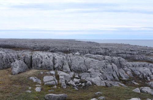 Cook's Harbour House | Ocean Front House in Cook's Harbour Newfoundland