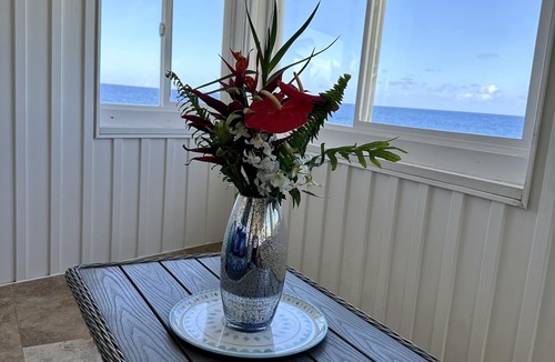 Keaau House | Ocean front~Pool, AC, Spacious! Wow the views 🐋 🐢 ☀️