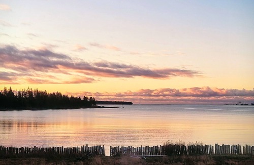 Grand Manan Island Apartment | Ocean Front Private 1 Bdrm + Living + Kitchenette Watch The Fundy Tides BBQ&fire