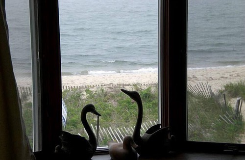 Mara Vista House | Ocean front with private beach in Falmouth, large lawn