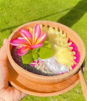 Mushroom Bay Resort | Ocean Paradise Cottage