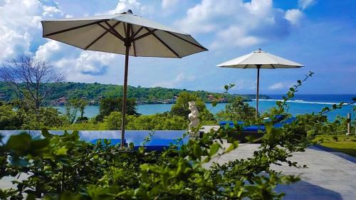 Mushroom Bay Resort | Ocean Paradise Cottage