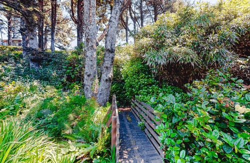 Neahkahnie Beach House | Ocean view home with beach access, washer/dryer, backyard, fireplace - near golf