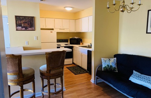 Demere Park Condo | Ocean Walk- Heated Pool Front Condo, with Tropical Views!