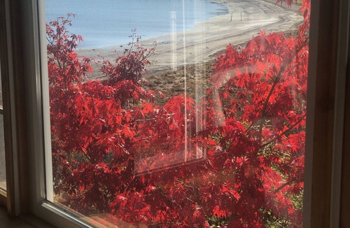 Eastport House | Oceanfront - 3 Acre Private Beach Property, See Whales & Eagles from the Deck