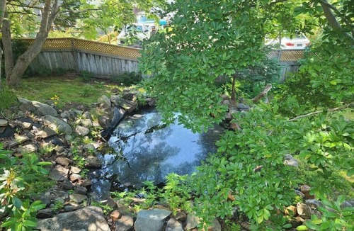 Halifax House | Oceanfront Boutique Style - 10 minutes To Downtown