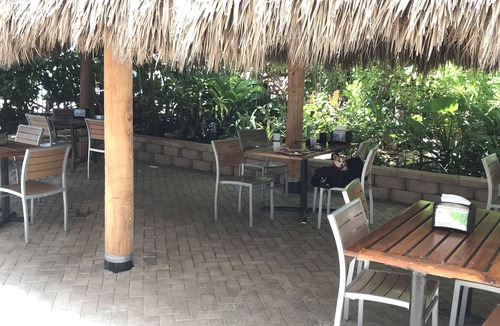 Galt Mile Condo | Oceanfront condo, beach, pool. 4 eateries on premises. Rent kayaks and jet skis.
