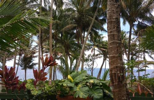 Kehena Beach Estates Cottage | Oceanfront cottage w/AC @ Kehena Beach, Hawaii