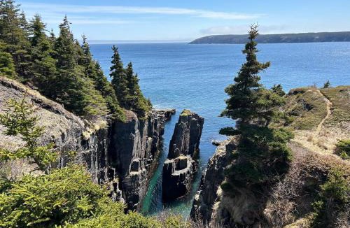 Bay Bulls House | Oceanfront Cottage Walk to Trail & Boat Tours