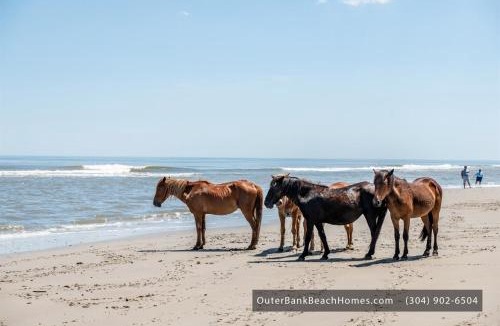 Corolla House | Oceanfront Estate No Resort Fee Sleeps 40 Private Events 18BR