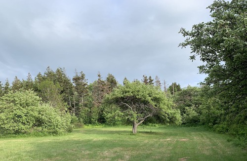 Antigonish County House | Oceanfront property with private beach. Private & serene.