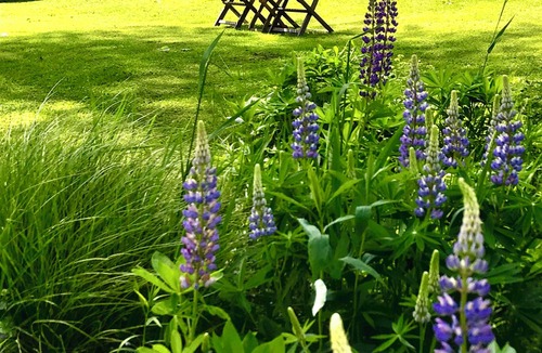 West Bath Apartment | OCEANFRONT WITH DOCK - nBRUNSWICK, BATH, MIDCOAST REGION nDog friendly