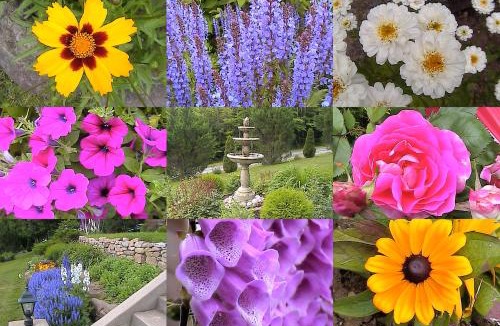 Digby Bed & Breakfast | Oceanhillside B&B