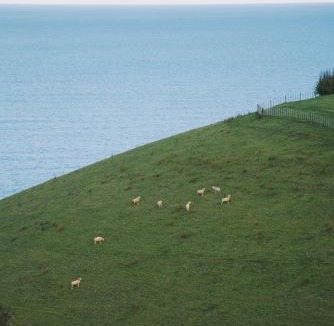 Tutukaka Apartment | Oceanview Cottage Tutukaka Coast