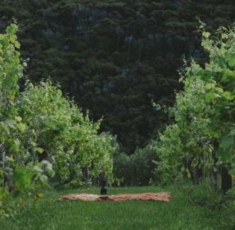 Tutukaka Apartment | Oceanview Cottage Tutukaka Coast