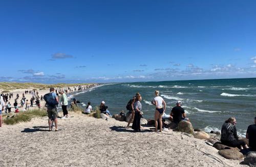 Skagen House | Oddevej 20 Skagen