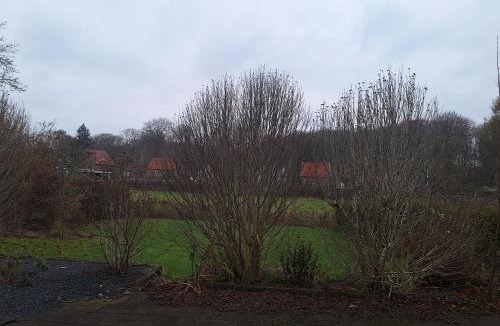 Naesby Apartment | Odense Garden Apartment