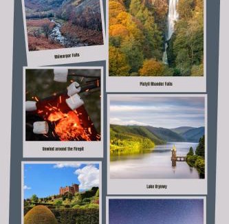 Welshpool Ski Chalet | Odli Glamping - Aderyn