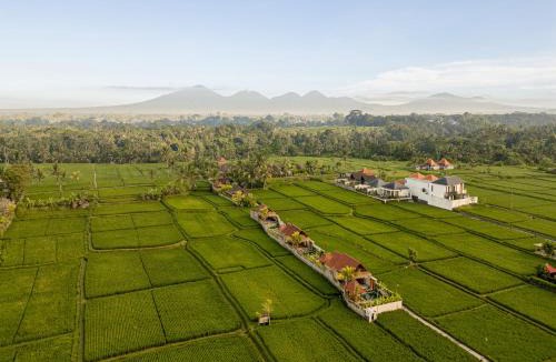 Tegallalang Villa | Oemah Cinta Suite
