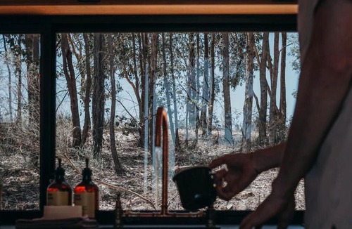 Reedy Creek House | Off-Grid Cabin Deep in Nature - Pet Friendly - Ava